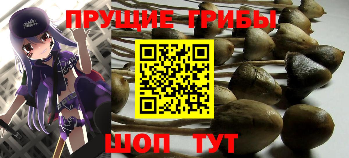 Псилоцибиновые грибы Psilocybe  Вход с VPN  Самара 